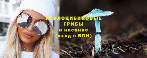 apvp Алексеевка