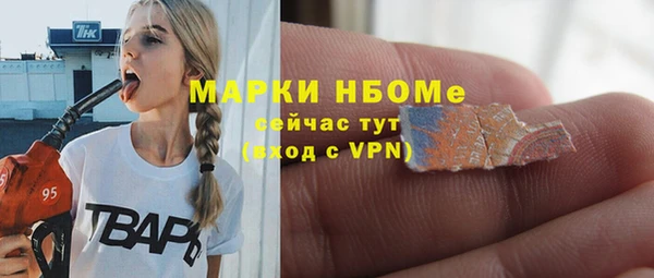 гашик Карпинск
