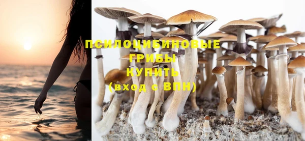 прущая мука Алзамай
