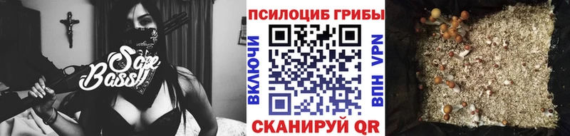 где можно купить наркотик  Опочка  Галлюциногенные грибы ЛСД 